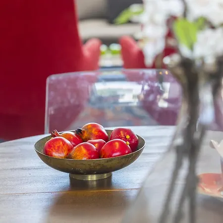 Serene أيا نابا